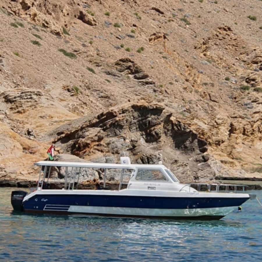 Muscat: Dolphin Watching Boat Trip with Snacks & Local Guide - Muscat’s coast from the water