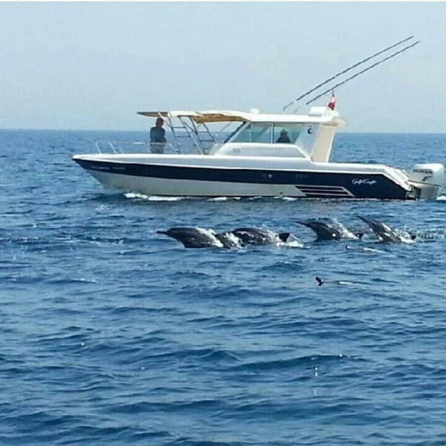 Muscat: Dolphin Watching Boat Trip with Snacks & Local Guide - Snacks, drinks, and comfort on board