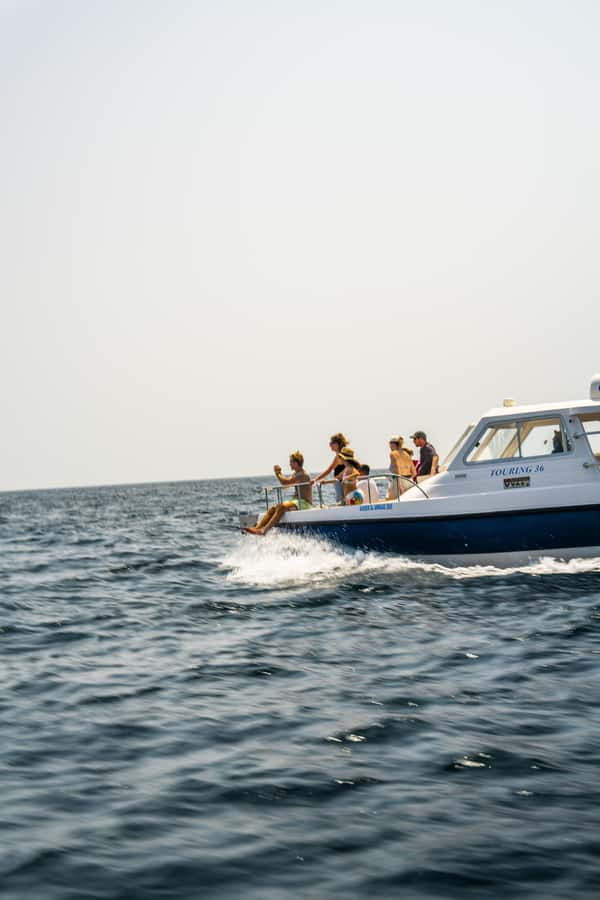 Muscat: Dolphin Watching Boat Trip with Snacks & Local Guide - The first search for dolphins