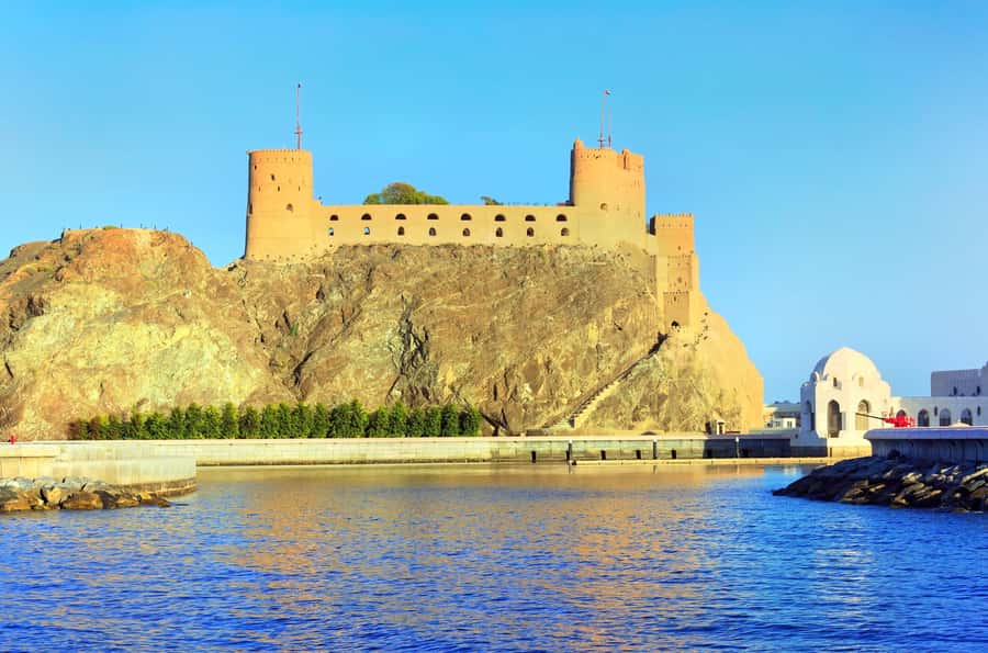 Muscat Dolphin Watching & Coastal Sightseeing Tour - Who Will Enjoy This Boat Trip Most