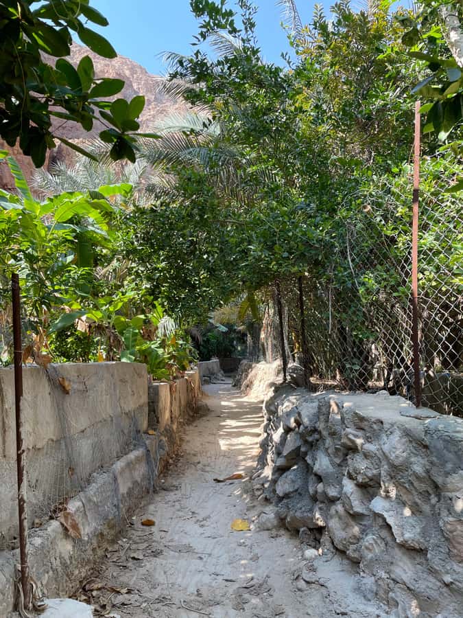 Muscat: Full-Day Wadi Shab & Bimmah Sinkhole Private Tour - Why Wadi Shab is worth the drive from Muscat