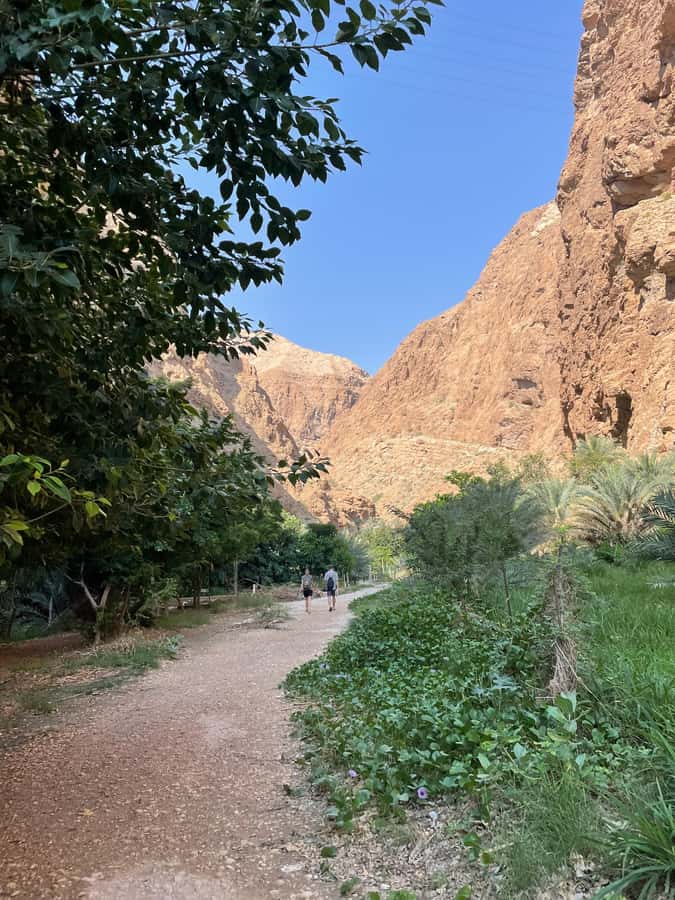 Muscat: Full-Day Wadi Shab & Bimmah Sinkhole Private Tour - Bimmah Sinkhole: dramatic, easy, and brief