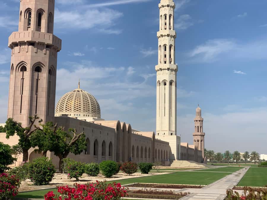 Muscat: Group City Tour with Pickup and Lunch or Dinner - Key points before you book