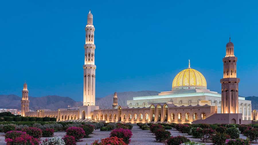 Muscat: Group City Tour with Pickup and Lunch or Dinner - Royal Opera House and Muscat’s modern side