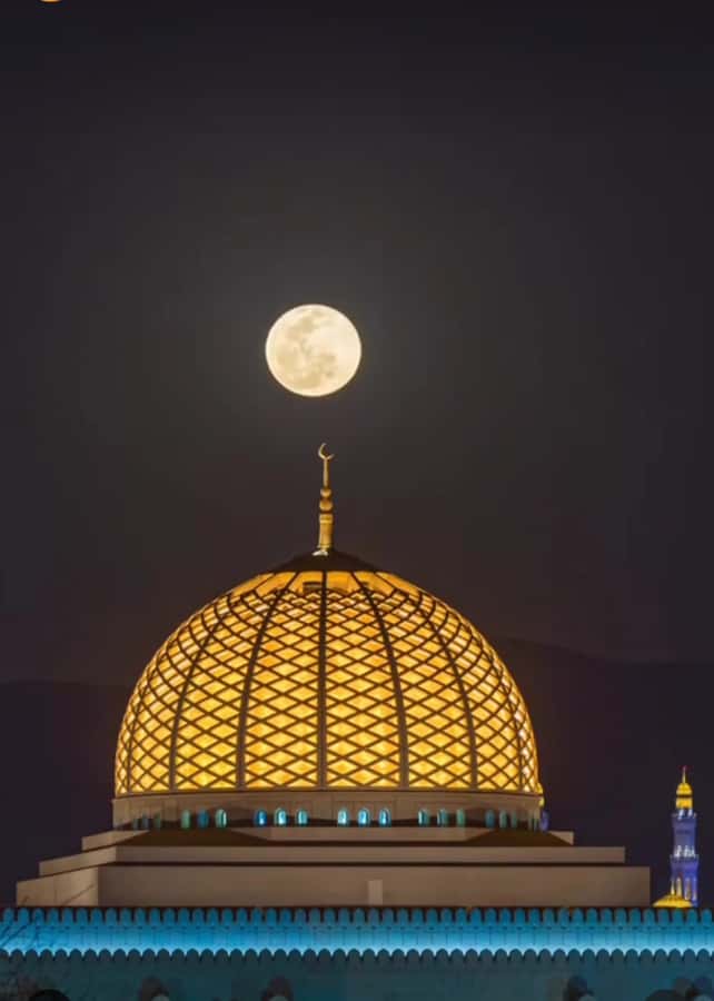 Muscat: Guided Landmarks Tour - Mutrah Fish Market and Corniche: two short waterfront stops
