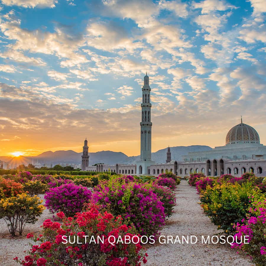 Muscat: Half Day-City Tour - The Royal Opera House and Muscat’s modern civic center