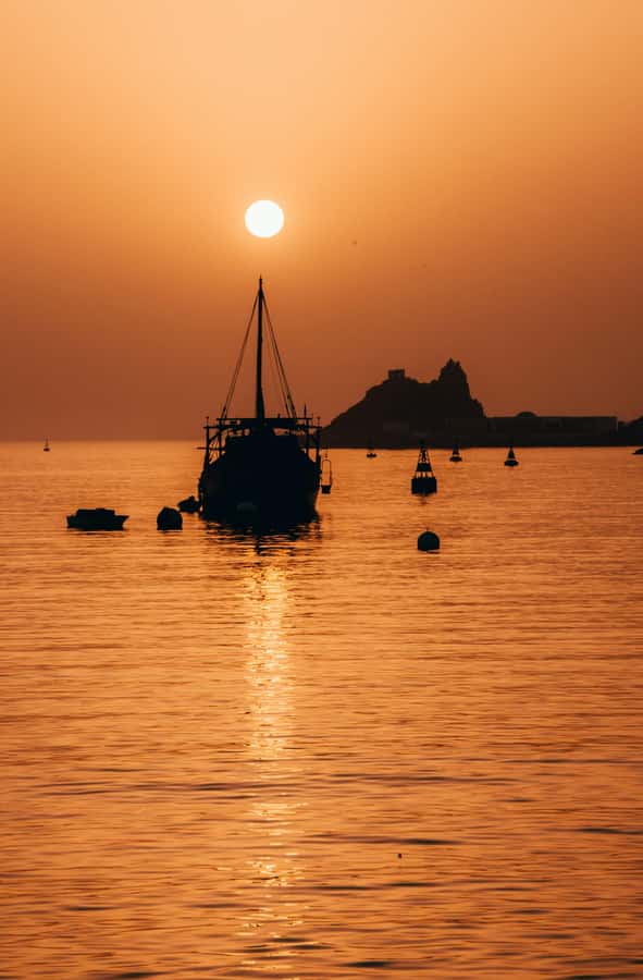 Muscat: Night Tour [ Sightseeing ] - What this Muscat evening tour really offers