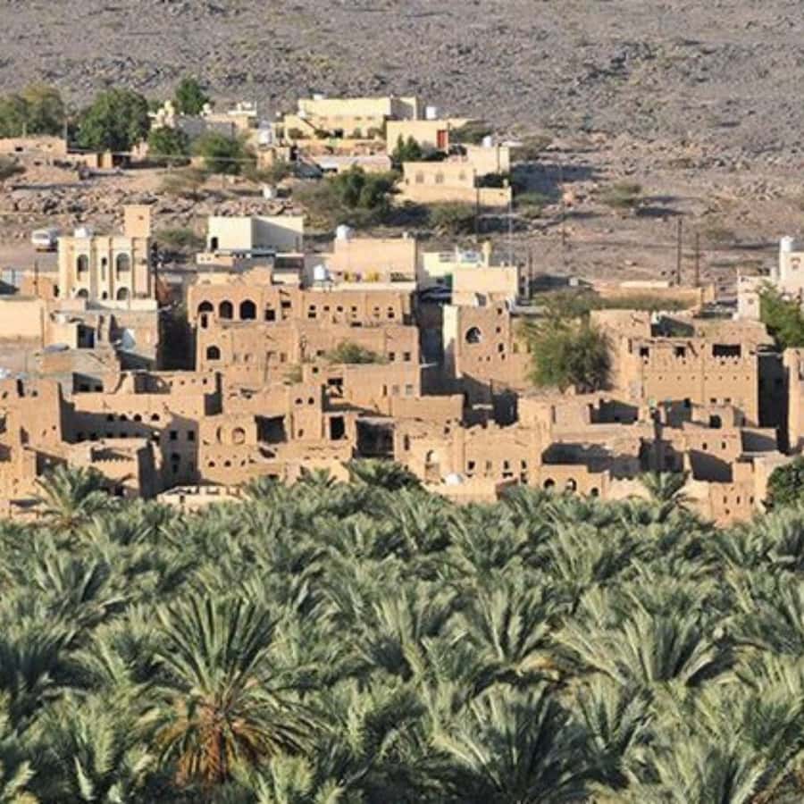 Muscat: Nizwa and Jabal Shams- Full Day Tour - Al Hamra and the older village setting