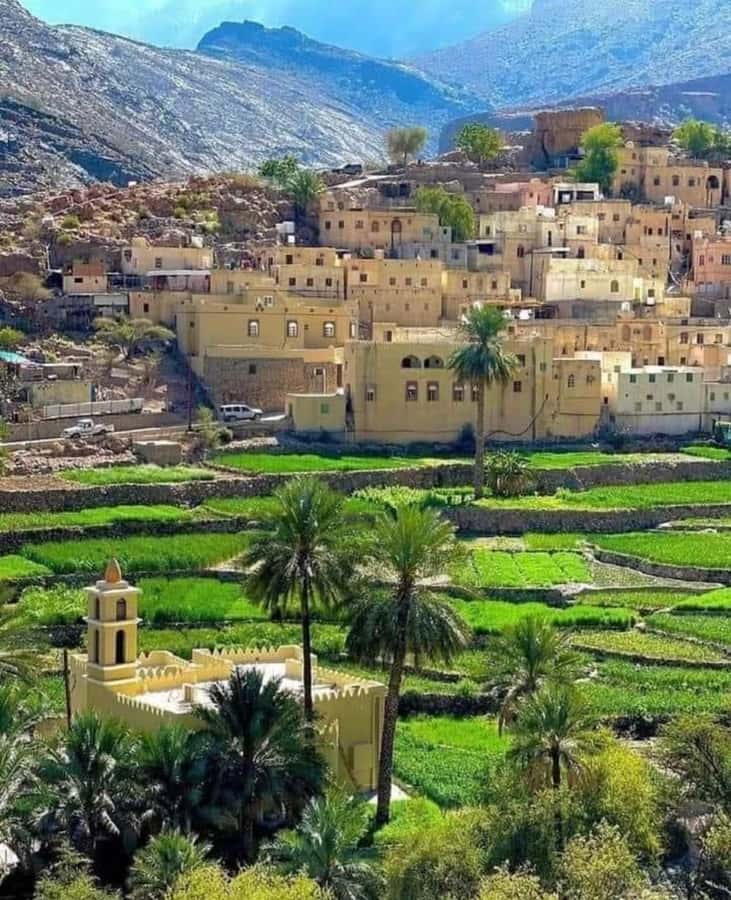 Muscat Oman Grand Canyon, Jebel Shams & Nizwa - Al Hamra adds regional context
