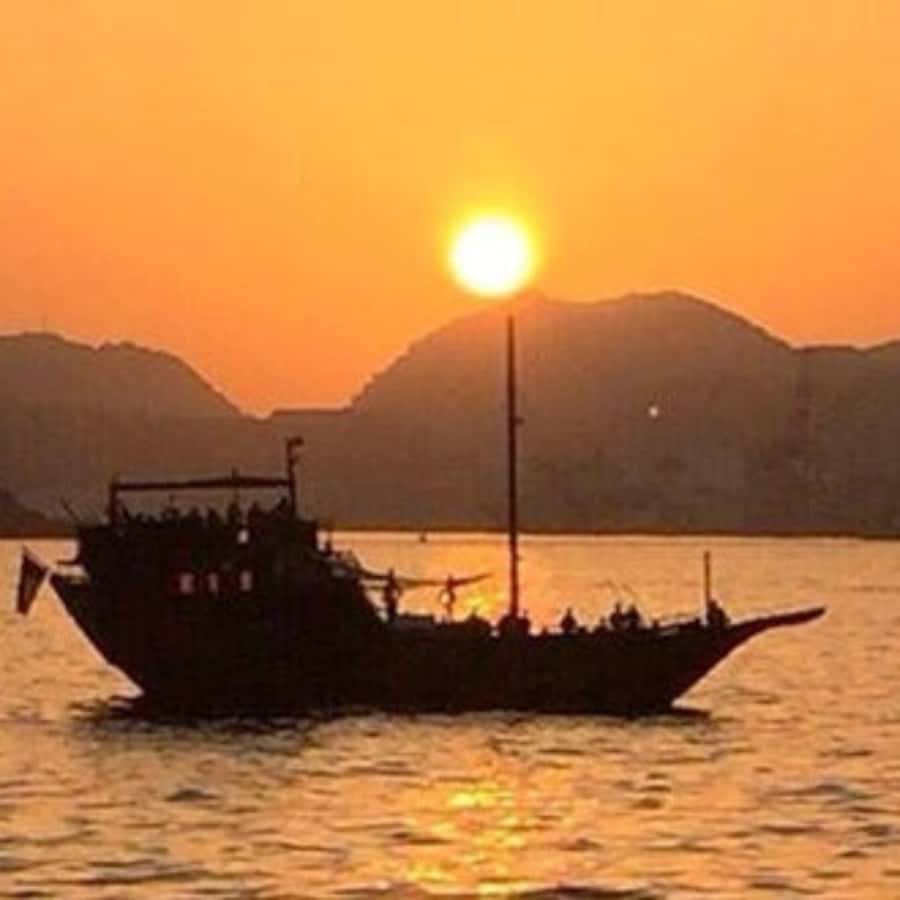 Muscat: Omani Traditional Dhow Sunset Cruise - Al Alam Palace and the return to Muscat