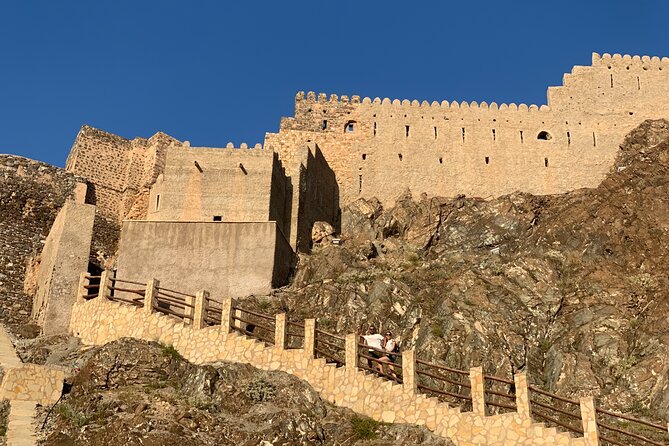 Muscat : Private morning tour in Muscat - Al Alam Palace and Muscat’s castle setting