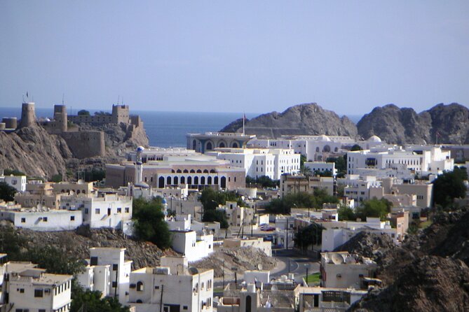 Muscat Shore Excursion: Private City Highlights Tour - Is $169 a fair price?