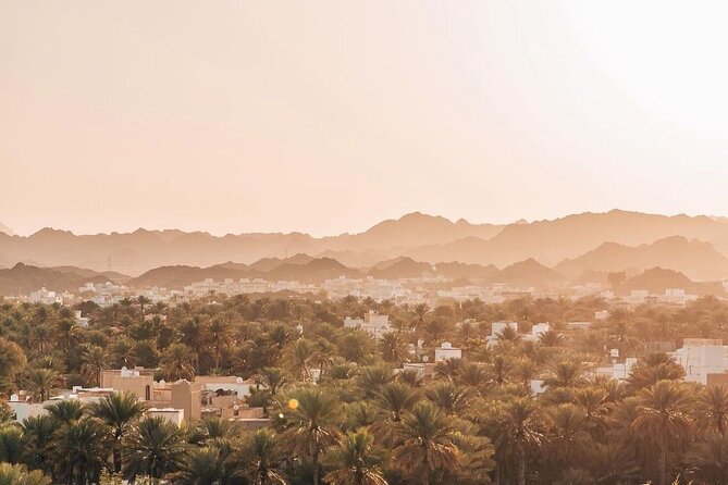 Muscat Shore Excursion: Private Nizwa Day Trip - Browsing Nizwa Souq after the fort