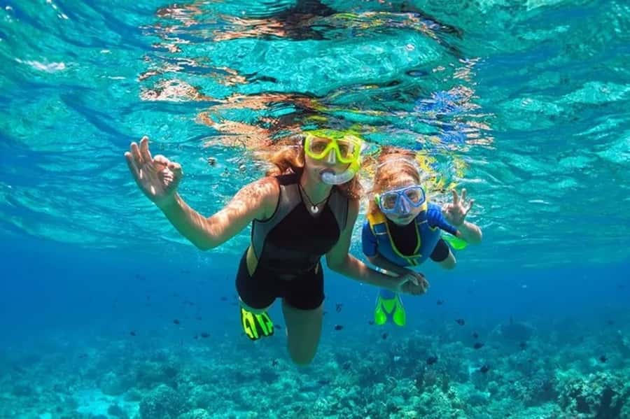 Muscat: Snorkeling and Dolphin Watching Tour - Key points to know before you book