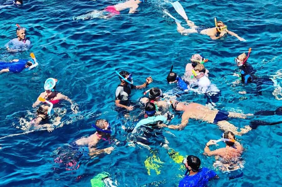 Muscat: Snorkeling and Dolphin Watching Tour - Practical details for a smoother morning