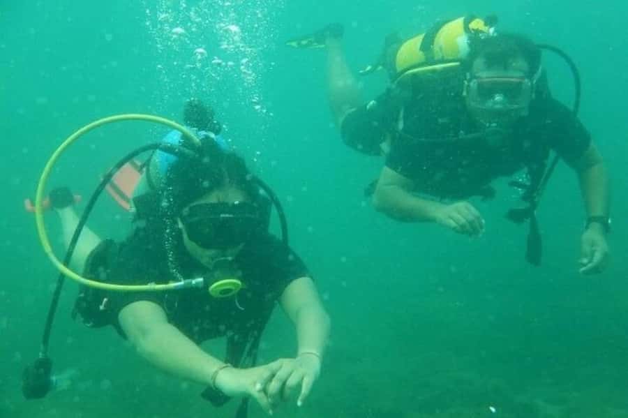 Muscat: Snorkeling and Dolphin Watching Tour - Swimming and snorkeling in Omani waters