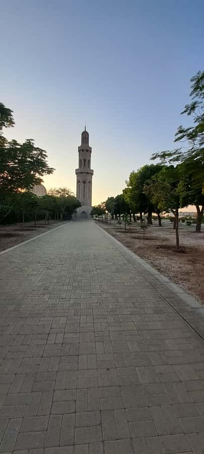 Muscat Tour - Half day - Who should book this Muscat tour?