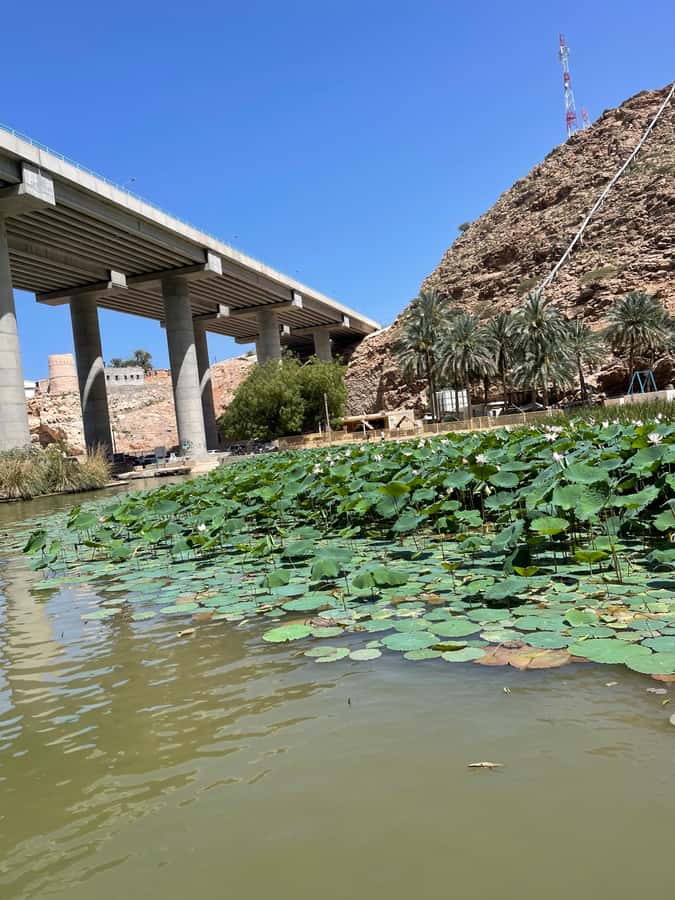 Muscat: Wadi Shab, Romantic Cave and Sinkhole Full-day Trip - Who should book this trip