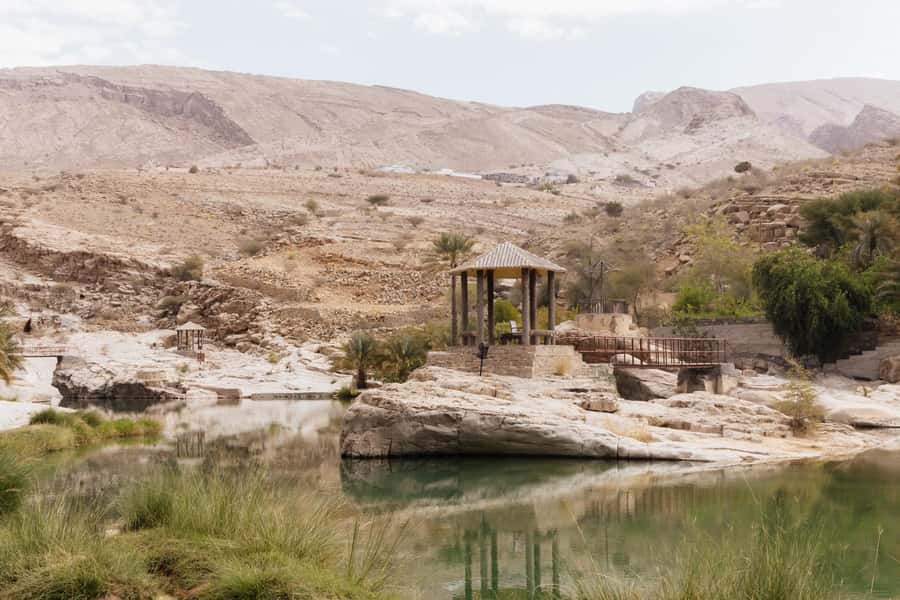 Muscat: Wahiba Desert and Wadi Bani Khalid Guided Group Tour - Who Should Book This Oman Excursion?