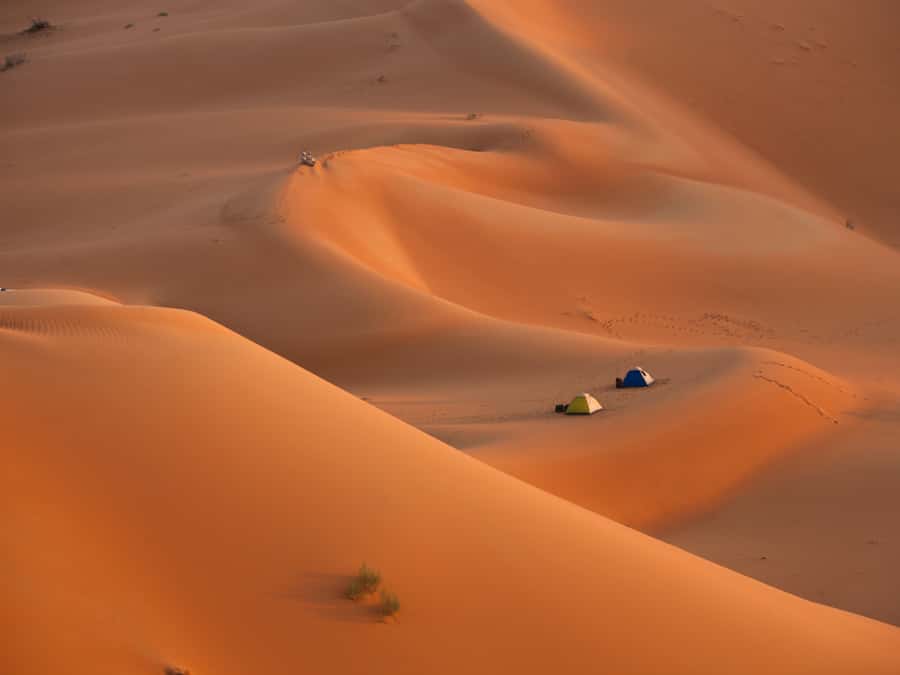 Muscat: Wahiba Sands Desert Sunset Tour with Dinner - Sunset Over the Golden Dunes