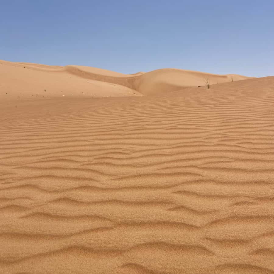 Muscat: Wahiba Sands Desert & Wadi Bani Khalid Full Day Tour - Why this Muscat day trip works