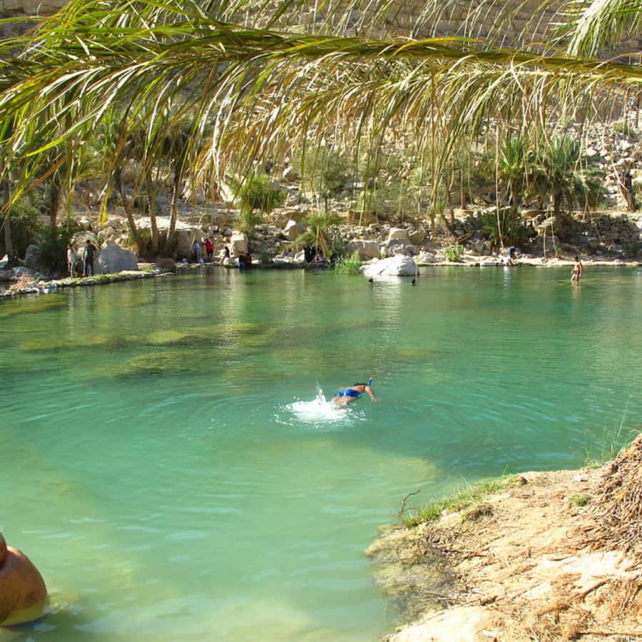 Muscat: Wahiba Sands Desert & Wadi Bani Khalid Full Day Tour - Guide style and the small-group advantage