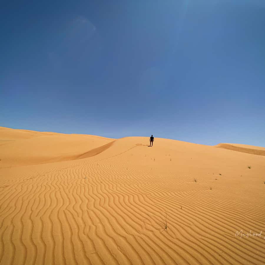 Muscat: Wahiba Sands Desert & Wadi Bani Khalid Full Day Tour - Wahiba Sands and the first taste of desert life