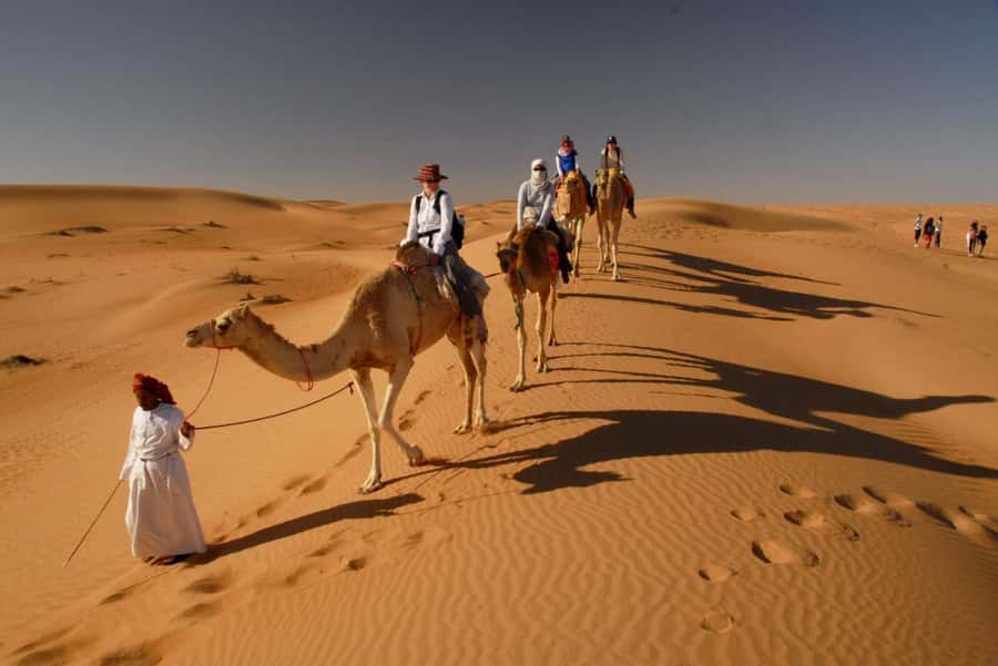 Muscat: Wahiba Sands & Wadi Bani Khalid Full-Day Tour+Lunch - Should you book the Wahiba and Wadi Bani Khalid day?