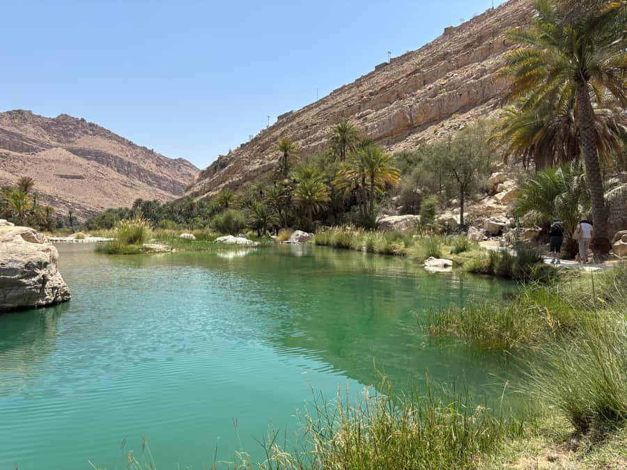 Muscat: Wahiba Sands, Wadi Bani Khalid & Mudayrib Tour - Tea, snacks, and the long ride home