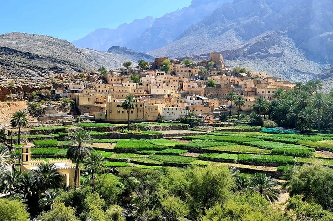 Nakhal Fort-Nakhal Hotspring-Wadi Bani Awf-Bilad Sayt - Private Full Day Tour - Why this Muscat day trip feels different