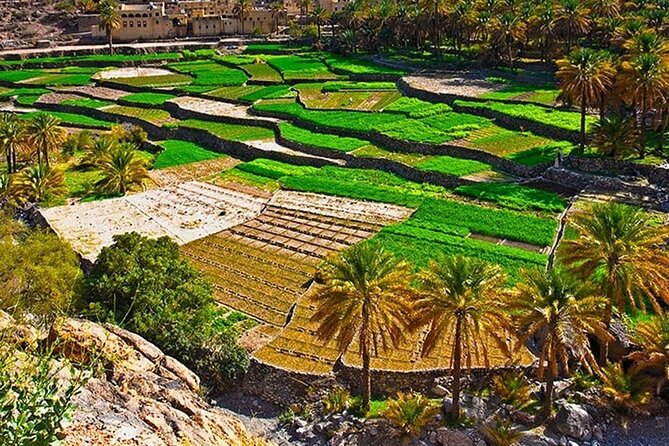 Nakhal Fort-Nakhal Hotspring-Wadi Bani Awf-Bilad Sayt - Private Full Day Tour - Who should book this route