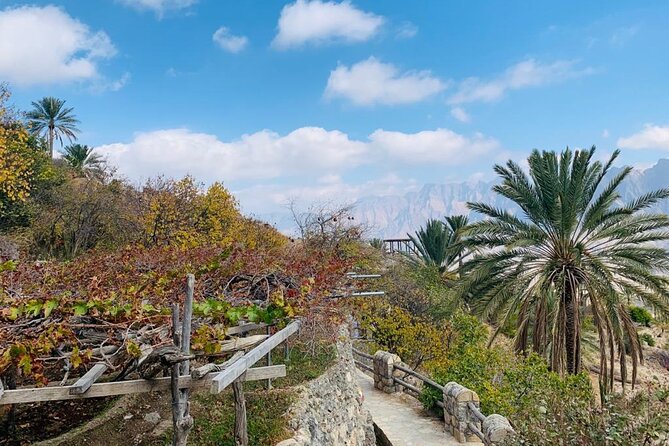 Nakhal Hotspring and Wakan Village Private Full Day Tour - Nakhal hot spring and the small green wadi