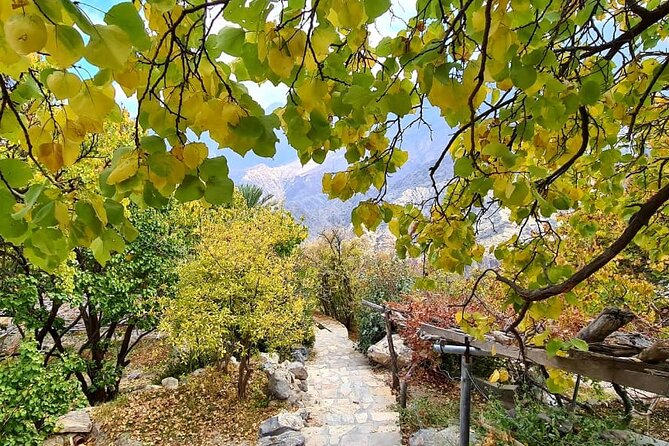 Nakhal Hotspring and Wakan Village Private Full Day Tour - How the eight-hour schedule works