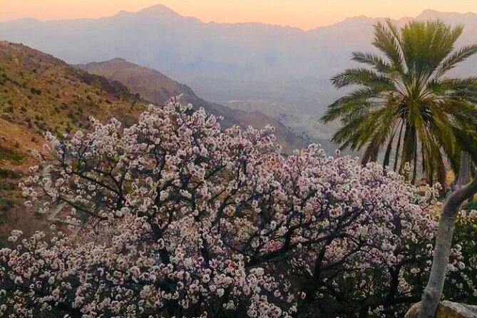 Nakhal Hotspring and Wakan Village Private Full Day Tour - Is $173.60 per person good value?