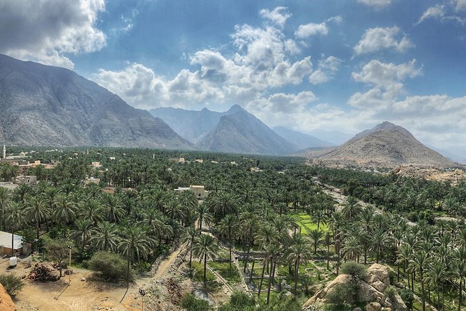 Nizwa and Green Mountain Group Full day tour - Nizwa Souq: useful shopping and a taste of daily life
