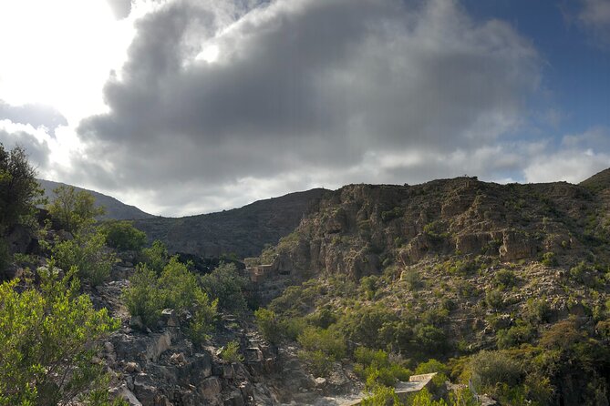 Nizwa and Jebel Akhdar Discovery: Guided Small Group Experience - Nizwa Souq and the texture of local life