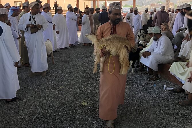 Nizwa and Oman's Historical Gems Tour - Nizwa and Jebel Akhdar