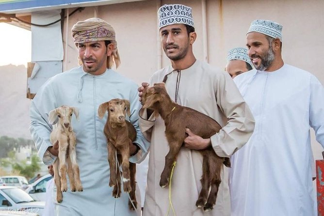 Nizwa Friday Market Jabal Chams - Who will enjoy this Oman day trip