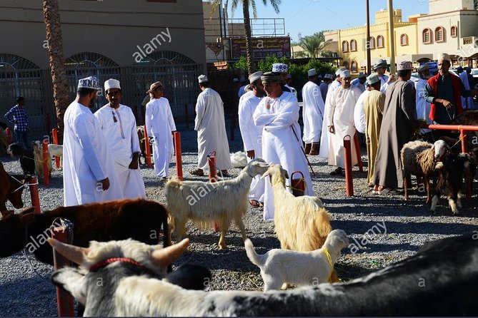Nizwa Friday Market Jabal Chams - Nizwa Souq and Fort add context to the market