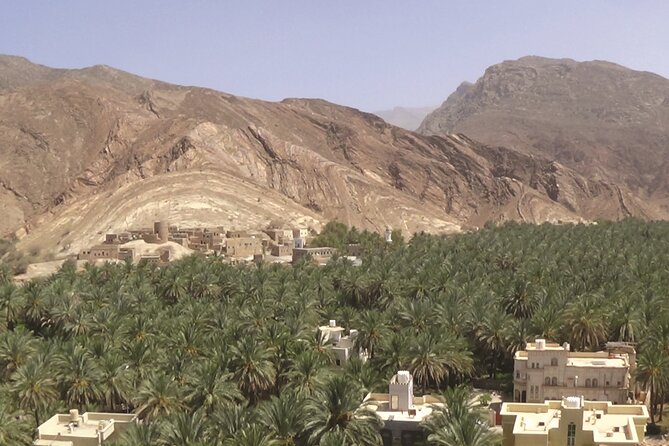 Nizwa Full Day Tour from Muscat with JABREEN fort - Nizwa Souk and the difficult one-hour choice