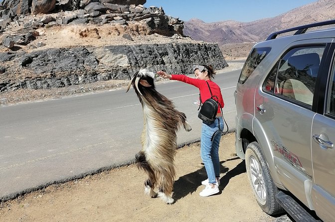 Nizwa. Hambra. Grand Canyon Oman - Al Hamra and the older Oman