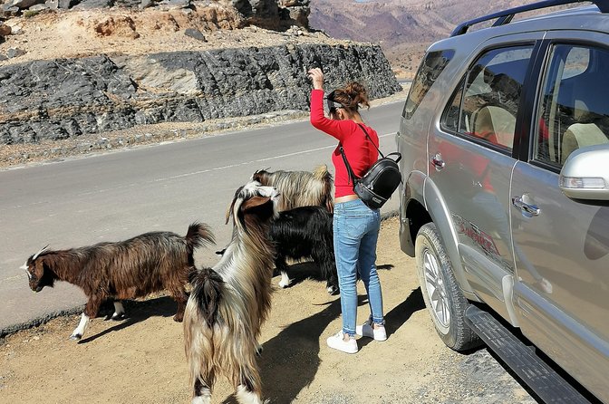 Nizwa. Hambra. Grand Canyon Oman - Who will enjoy this Oman day trip most?