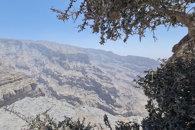 Nizwa Heritage & Jebel Shams Canyon – Private Tour from Muscat - Inside Nizwa Fort