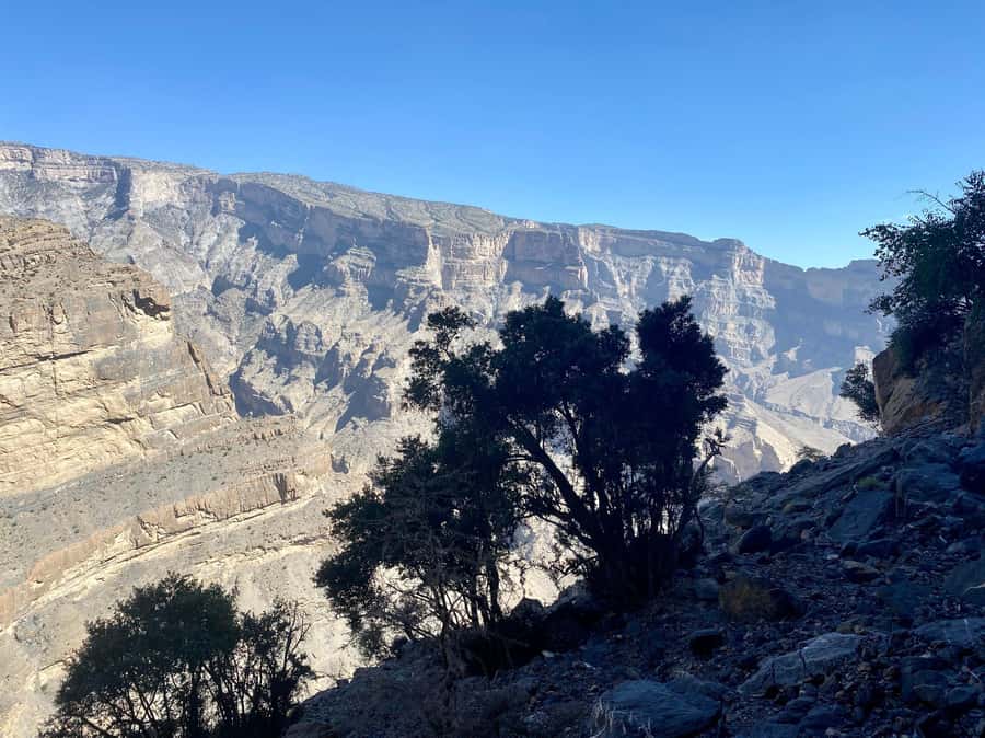Nizwa: Jebel Shams Balcony Walk and Via Ferrata Adventure - From Nizwa to Oman’s highest mountain