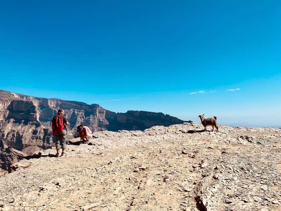 Nizwa: Jebel Shams Balcony Walk and Via Ferrata Adventure - What the via ferrata is really like