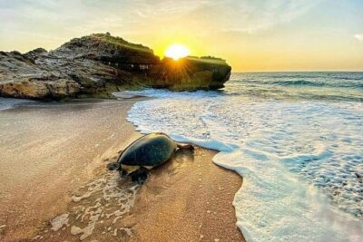 Oman 3-Days 2-Night Shared Roundtrip Tour – Explore Oman’s Best