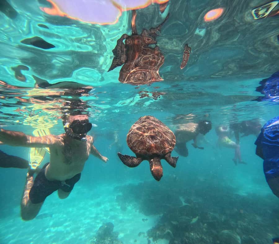 Oman: Daymaniyat Island Snorkeling Trip with Equipment - From Al Mouj Marina to open water