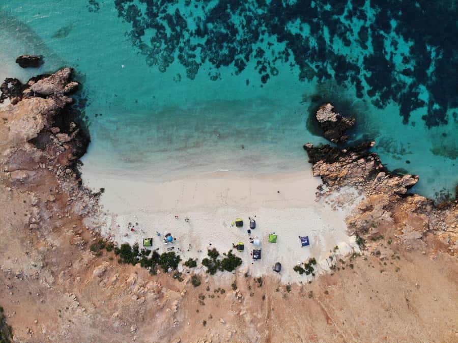 Oman: Daymaniyat Island Snorkeling Trip with Equipment - What you may see below the surface