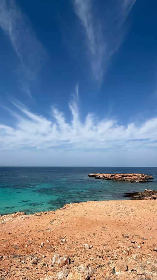 Oman: Daymaniyat Islands Visit and Snorkeling - Summer’s second snorkeling session