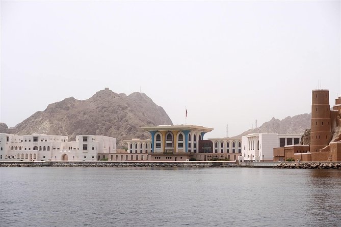 Oman Dolphin Watching Tours - The first run along Muscat’s living coast